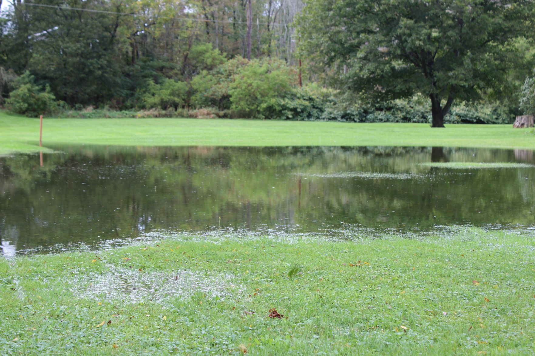 The backyard of 139 Nichols Street after heavy rain